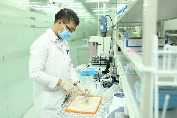 giải pháp thực phẩm bẩn
